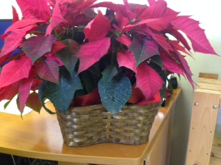 Poinsettia Wicker Basket